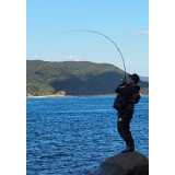 DAIWA rod OVER THERE AGS